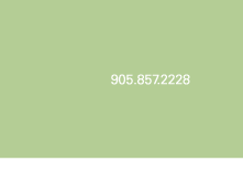 Toll Free: 1.866.822.2266 - Local 905.857.2228